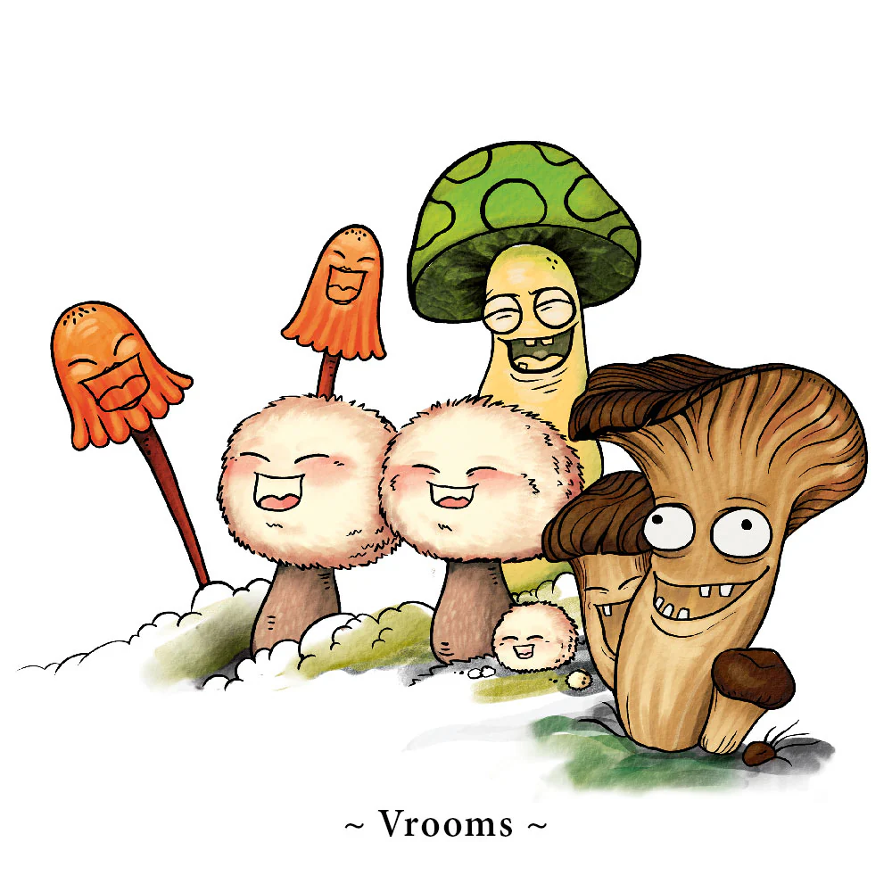 HLM-product-vrooms_1080x